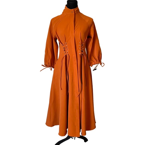 The RAETRUDA Rust Tie Accent Dress - Picture 6 of 12